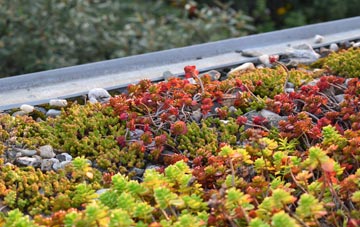 the cost of Antrim green roof installation