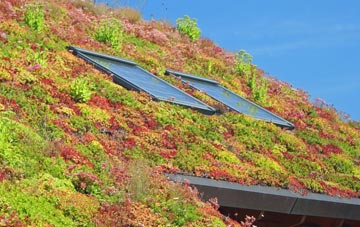Antrim living roof systems