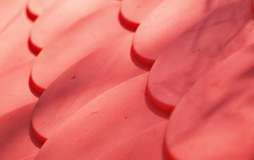 Antrim plastic roof costs