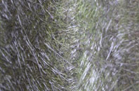 Antrim fibreglass roof work