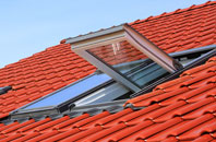 Antrim roof window